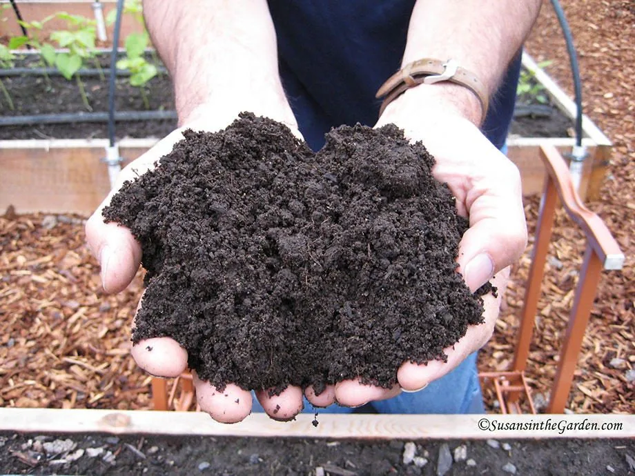 Compost being added to a garden